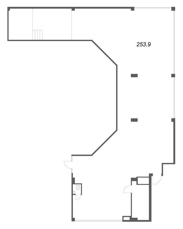К. пом 253,9 м²
