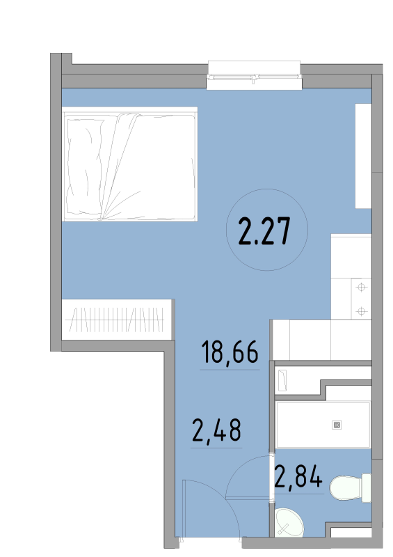 Студия 24 м²