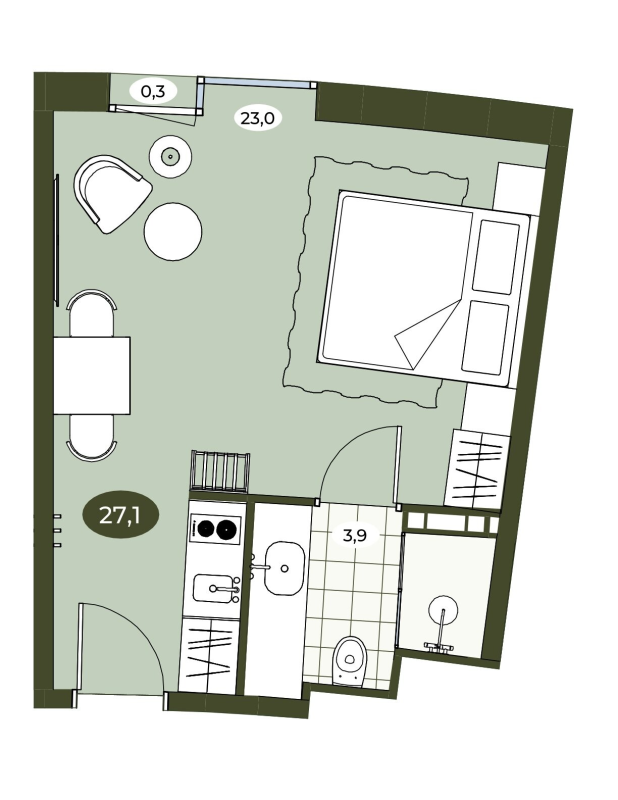 Студия 27 м²