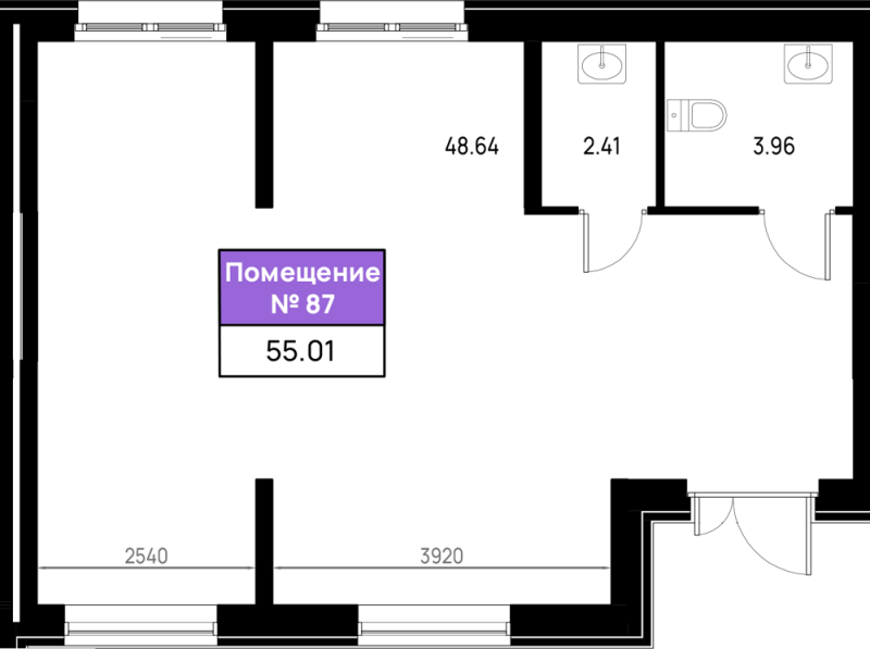 К. пом 55 м²