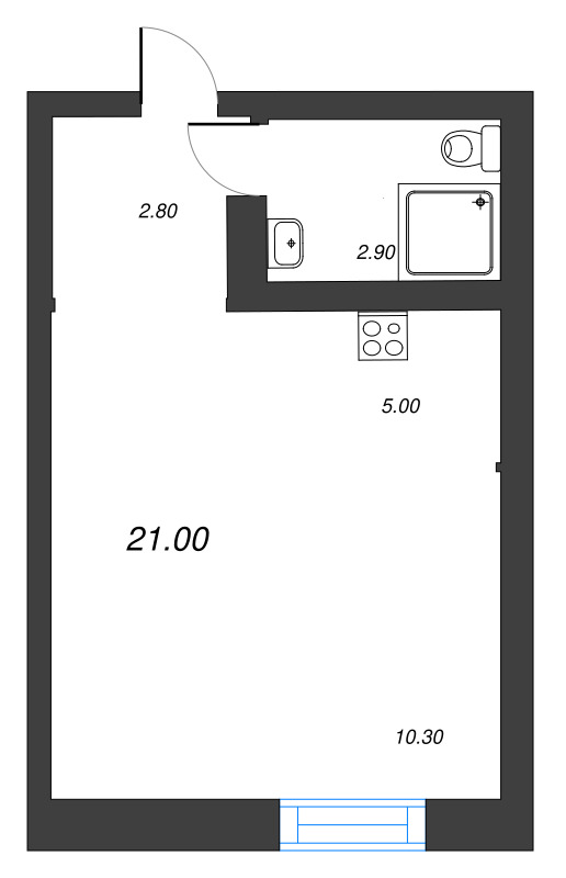 Студия 21 м²