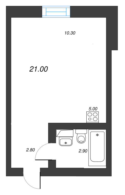 Студия 21 м²