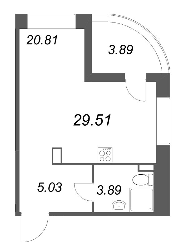 Студия 29,5 м²