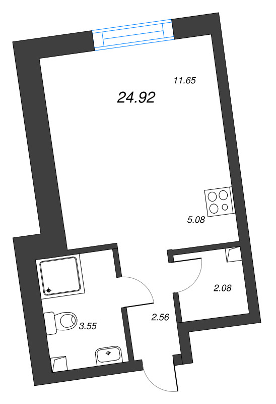 Студия 24,9 м²