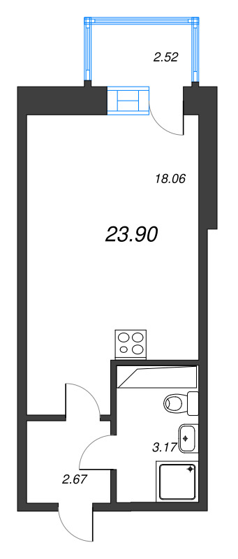 Студия 23,9 м²