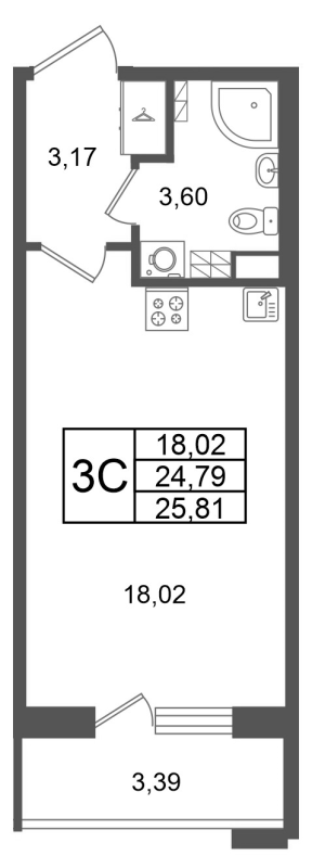 Студия 24,8 м²