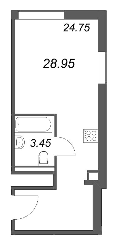 Студия 29 м²