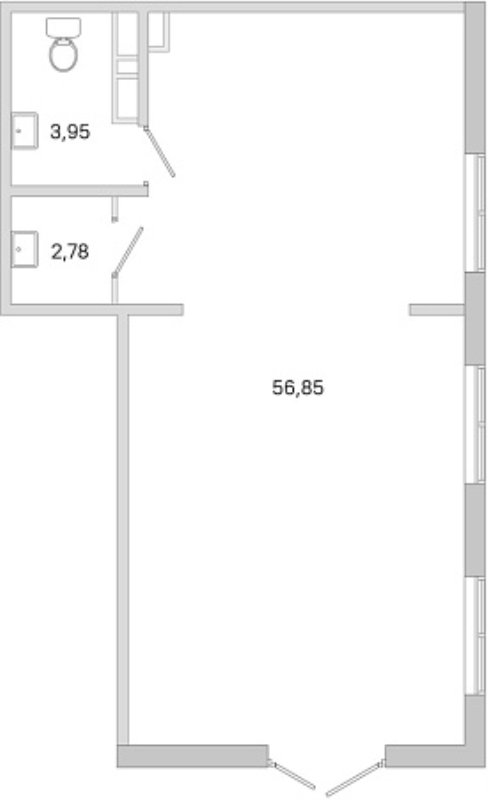 К. пом 63,6 м²